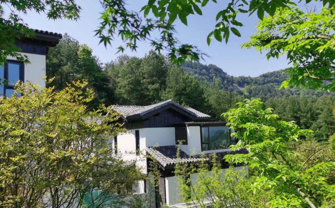 綦江最多人避暑房在横山,特点是:拥有自己的小院子,慢享四季避暑生活