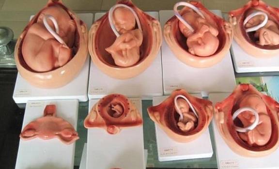 怀孕三个月的时候,胎宝宝在妈妈肚子里还很老实,有很多孕妇几乎感觉不