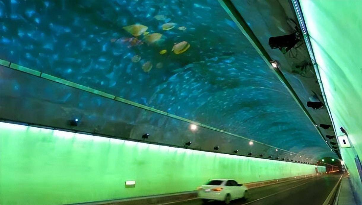 胶州湾海底隧道剖面图图片