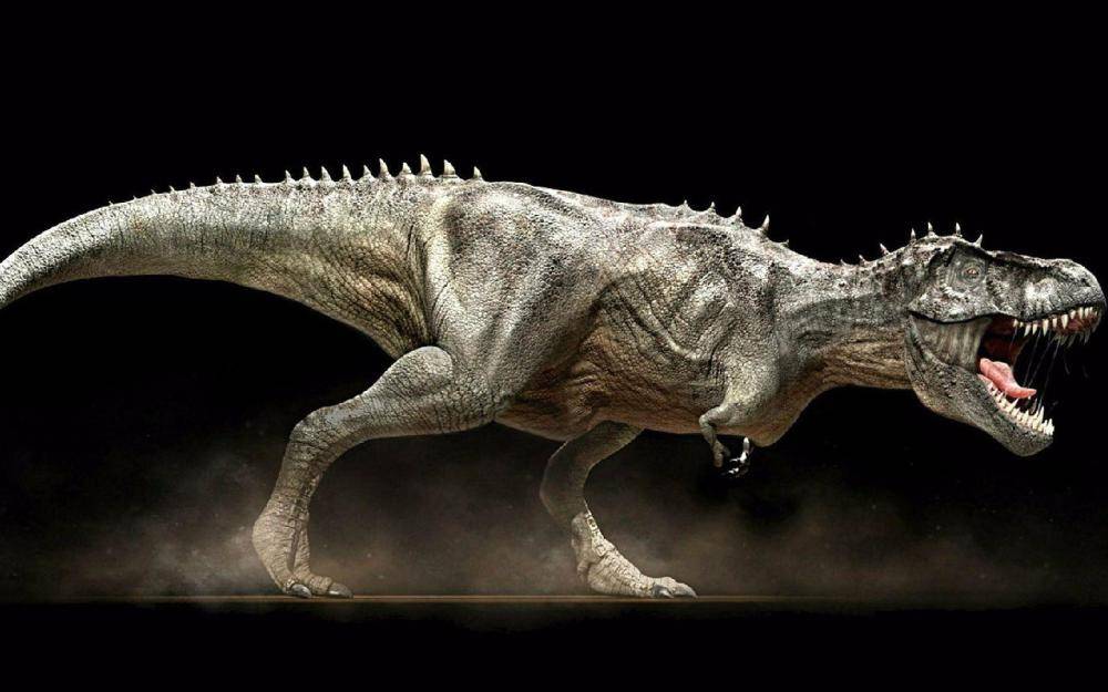 科学家重建了恐龙的***，穿越千万年，终于掀开了恐龙的遮羞布(图1)