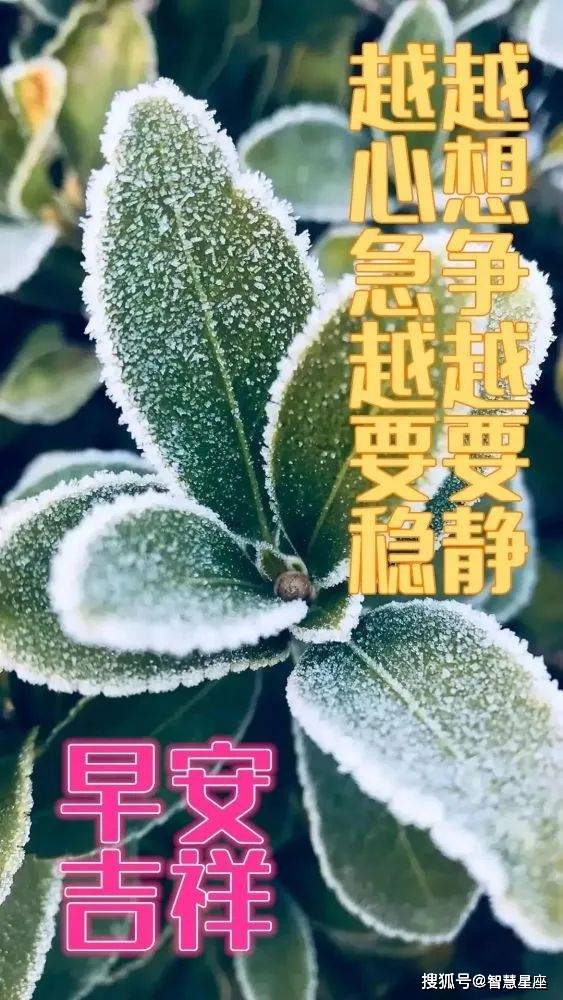 2月20日早上好春日暖心祝福美句,二月初一清晨问候朋友快乐吉祥精美