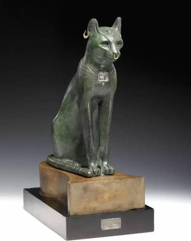 法老墓出土一件文物,埃及人视为圣兽,日本专家:不就是猫吗
