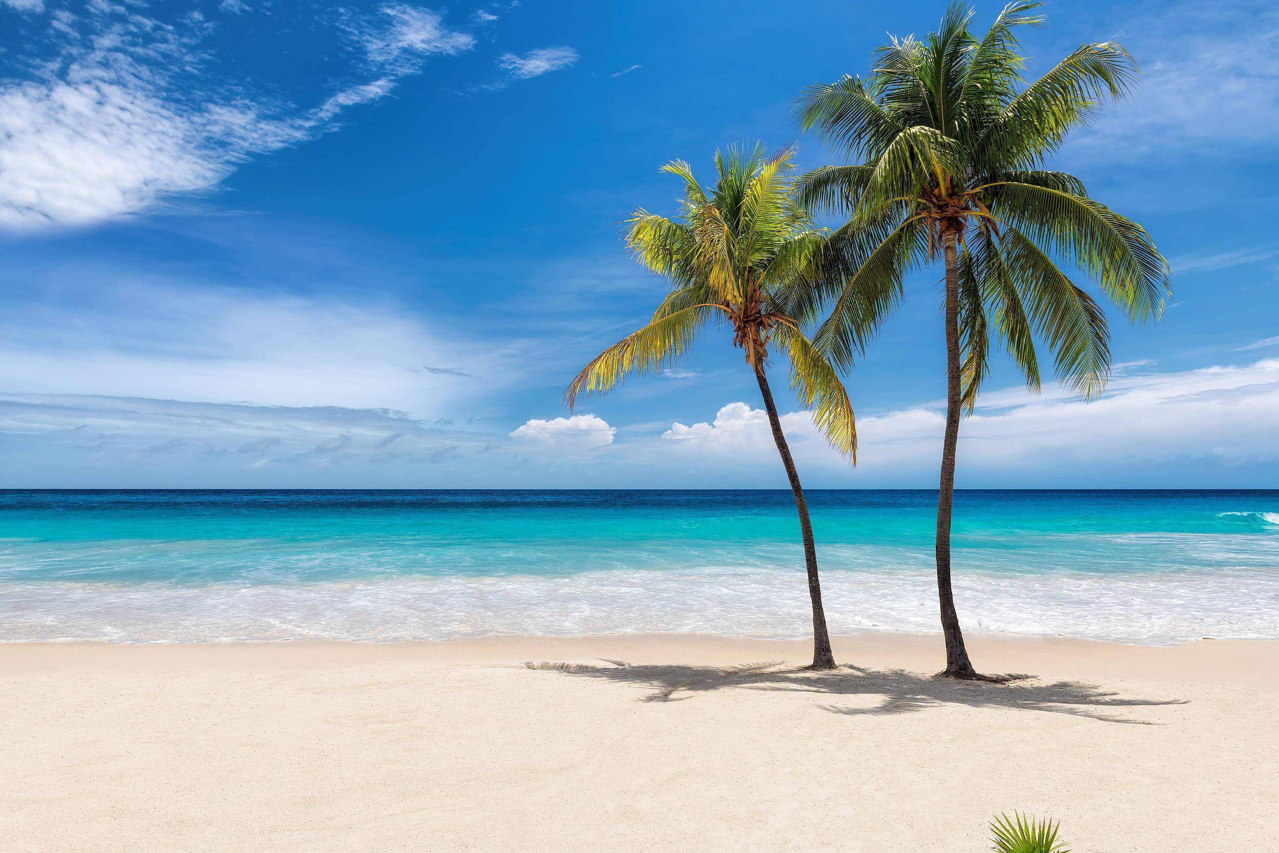 文旅产业2023:发现新商业文明_旅游_市场_客户