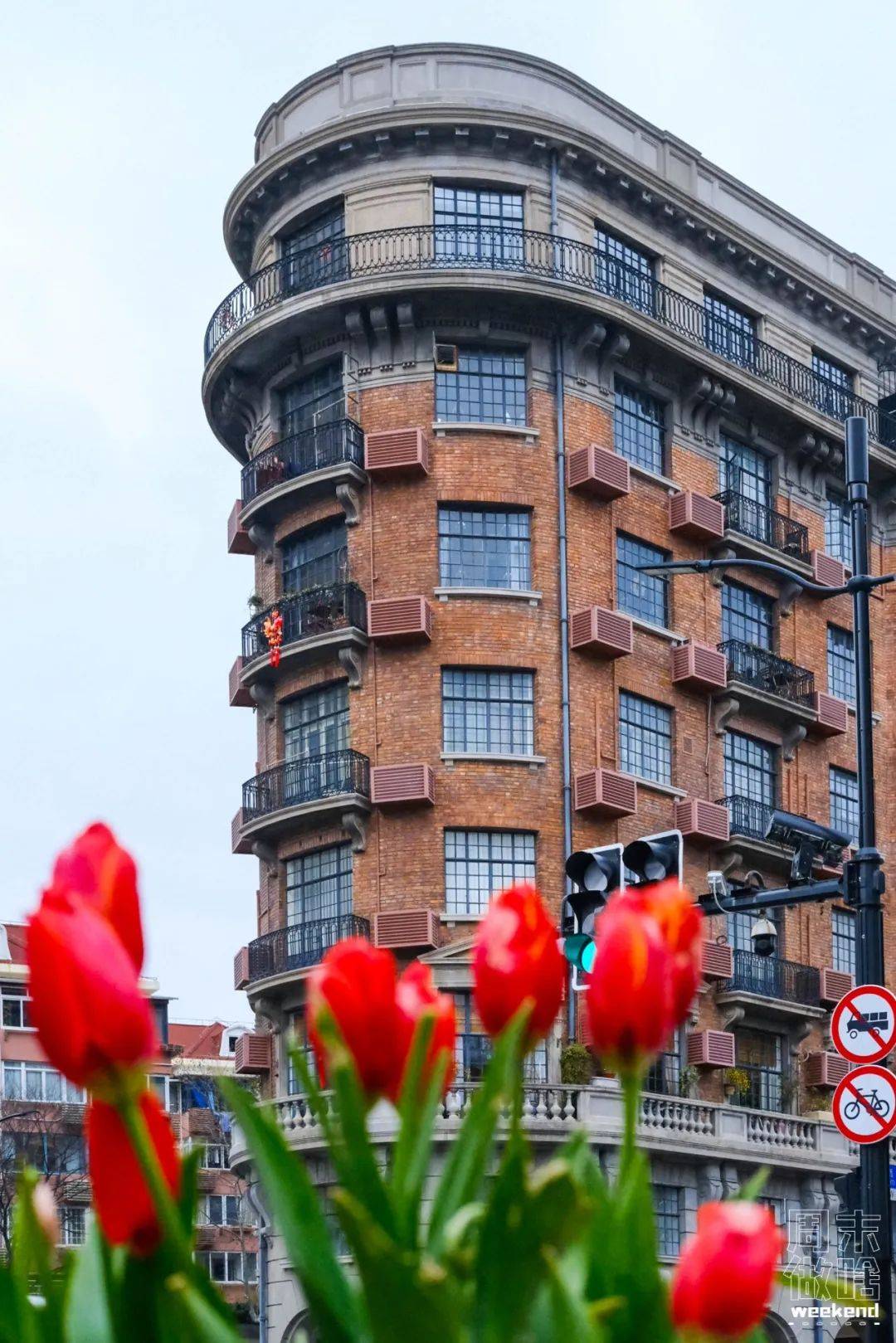 上海是懂浪漫的!快收藏这篇《2023春季赏花指南》去打卡!