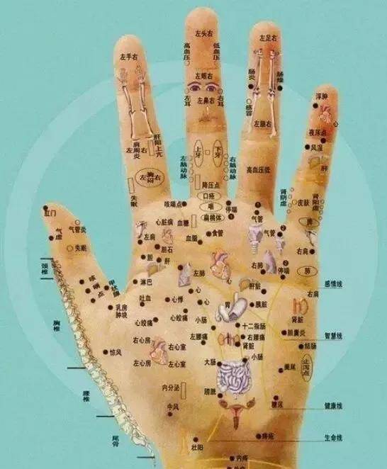 看手相时为什么男看左手女看右手_搜狐网