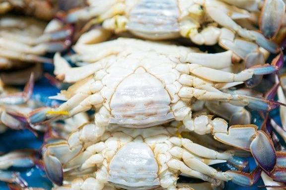 作为连云港人这8道代表美食！你吃过几道？(图1)