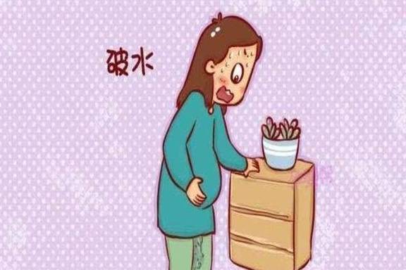 胎儿在子宫内是被羊水包裹着,羊水外有胎膜,破水就指的是羊膜破裂