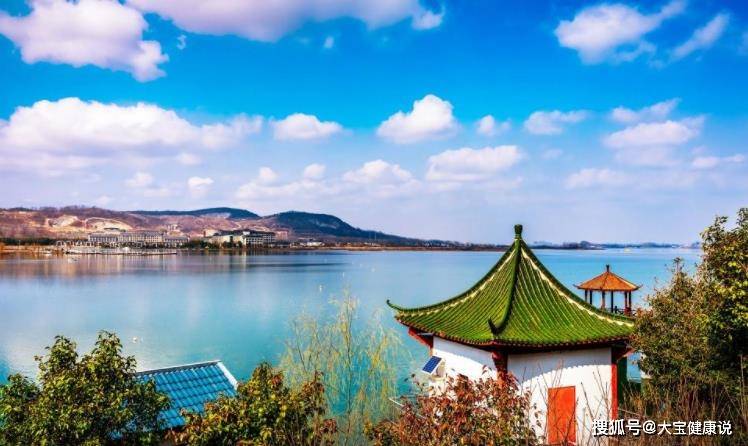 生肖马生肖鸡的人,他们往往有很强的赚钱欲望,所以他们会让自己努力