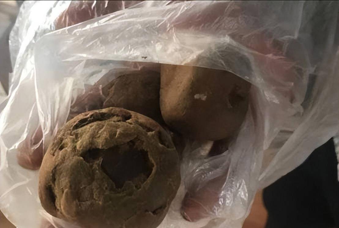 却没想到"天上掉馅饼",竟然仅仅用一头普通羊的价格,白捡了5个"羊宝"