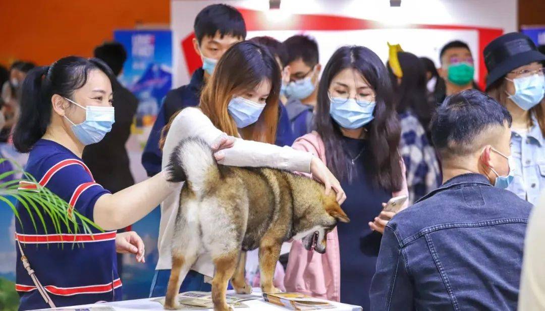 寶仔屋寵物嘉年華,將首次登陸武漢國際潮寵展,精彩內容一睹為快吧!