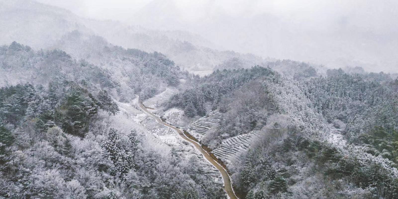 阳春三月银装素裹的大别山主峰并不多见_白马尖_安徽_季节