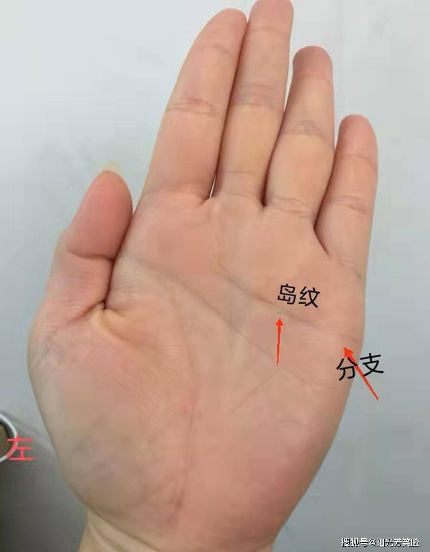 如果出现明显的分支,分叉,岛纹等不利现象,则对