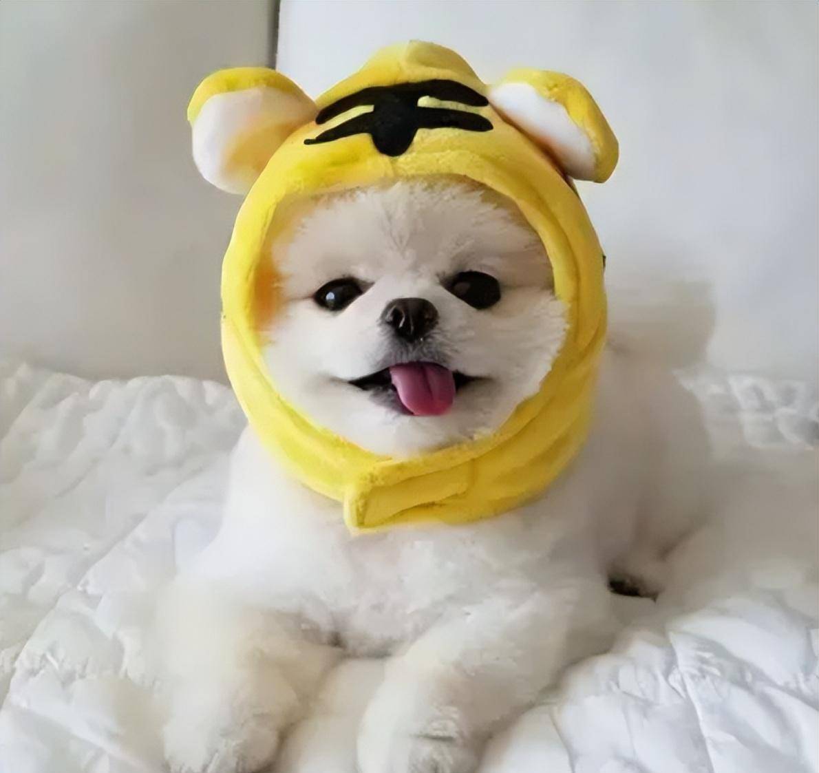 13有个同学叫覃奀垚.