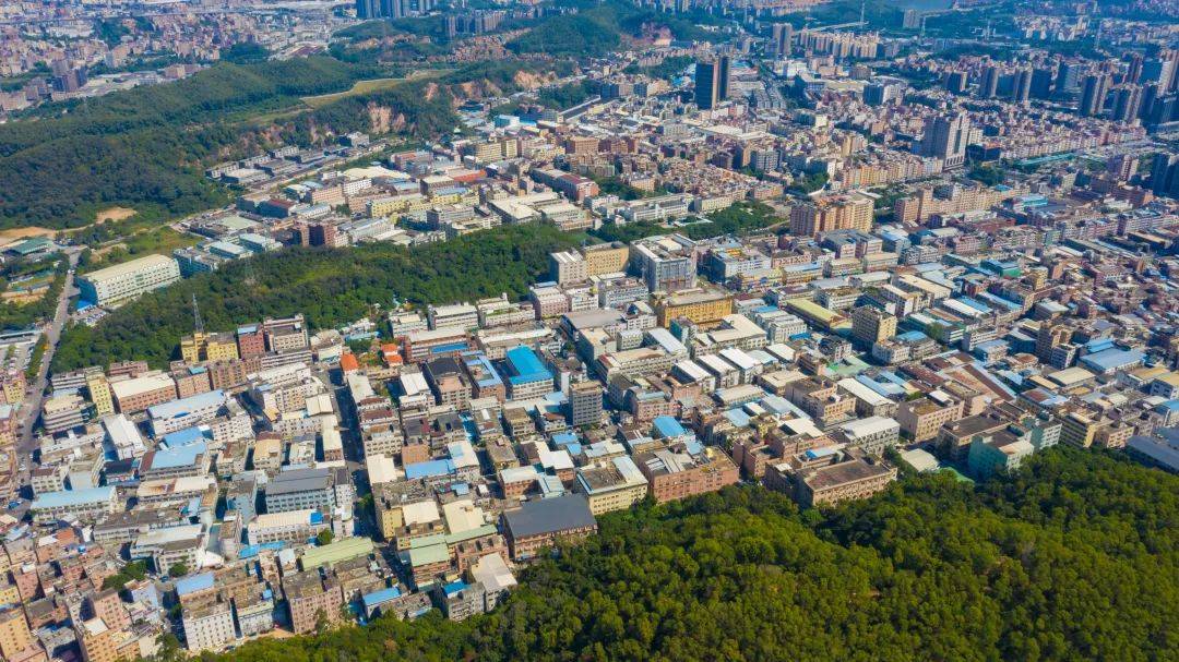 虎门镇口:聚焦城市更新,提升人居环境_发展_社区_集体经济