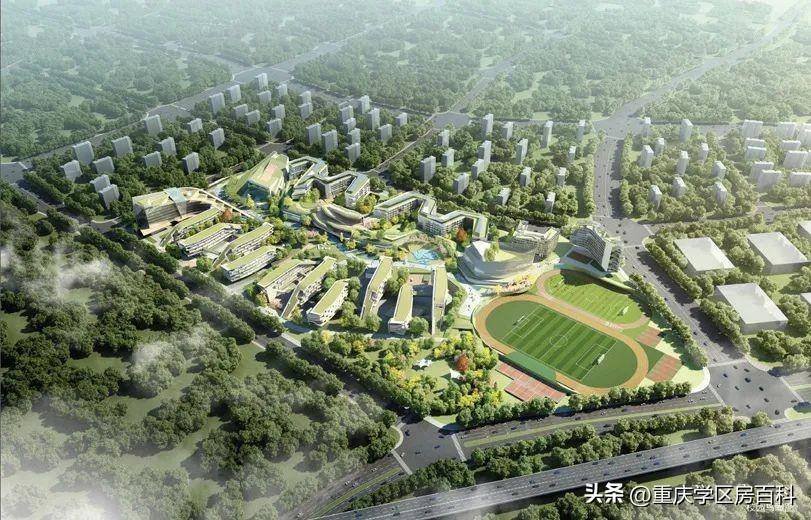 理性分析,物流园南渝中学_初中_重庆_招生