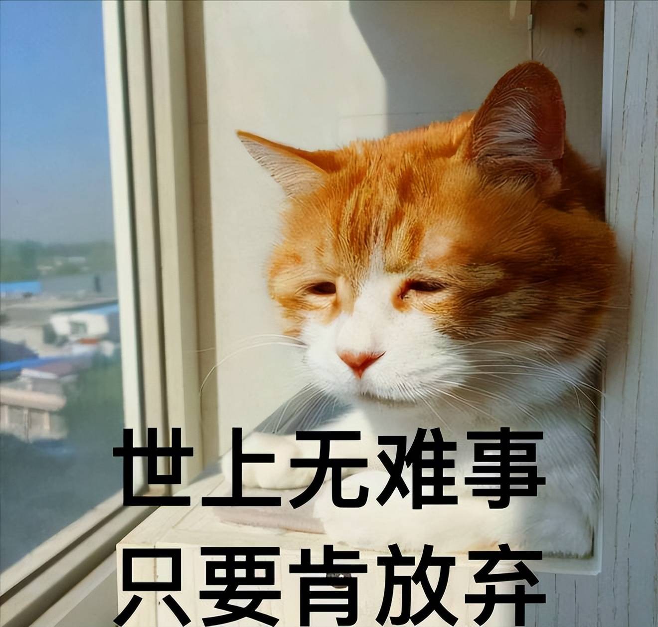 东亚人,勤劳至死?