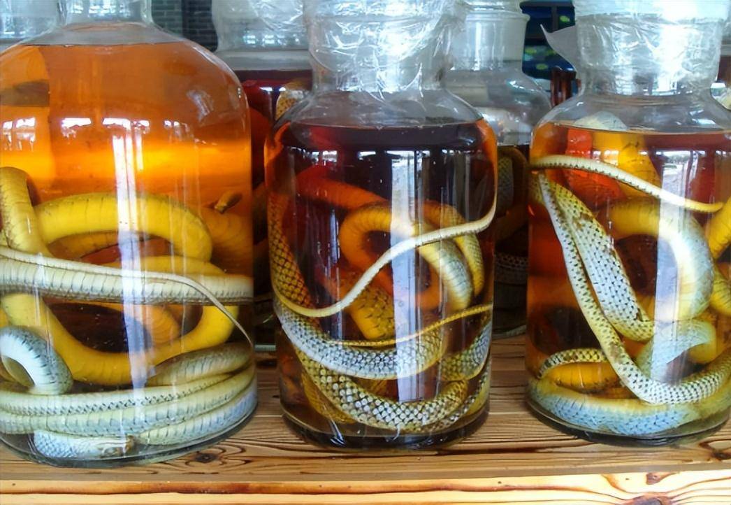 毒蛇泡酒一年,为何还能伤人?这酒能喝吗_酒瓶_复活_时间