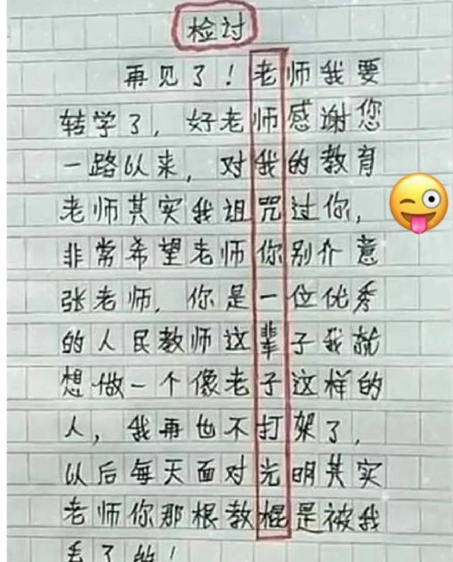 速看（学生万能检讨书500字）学生认错检讨书500字 第4张