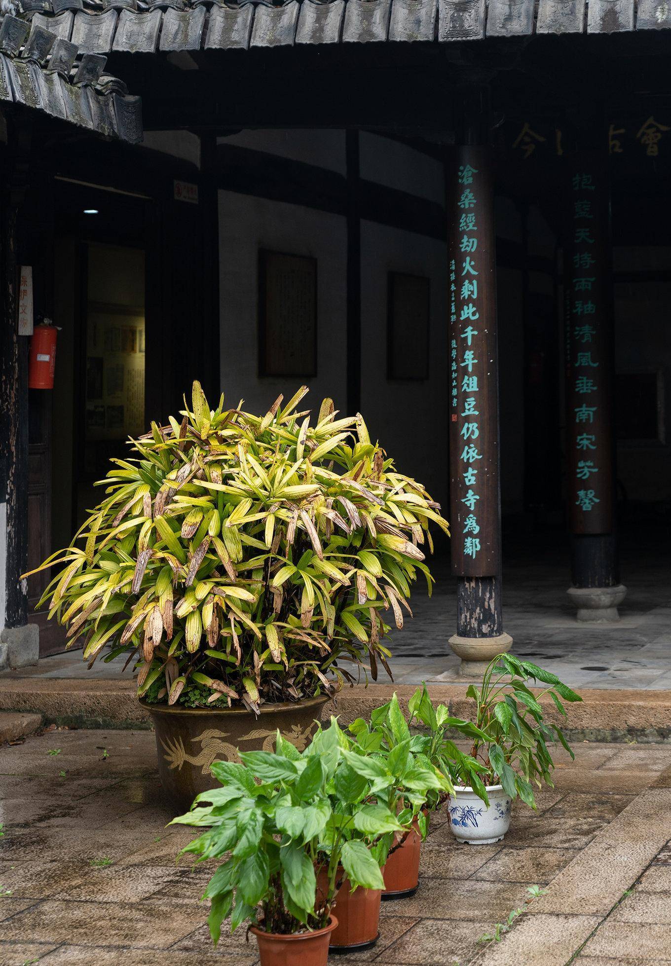 温州踏青|寻访秀美仙岩的人文美景_陈文节_公祠_梅雨