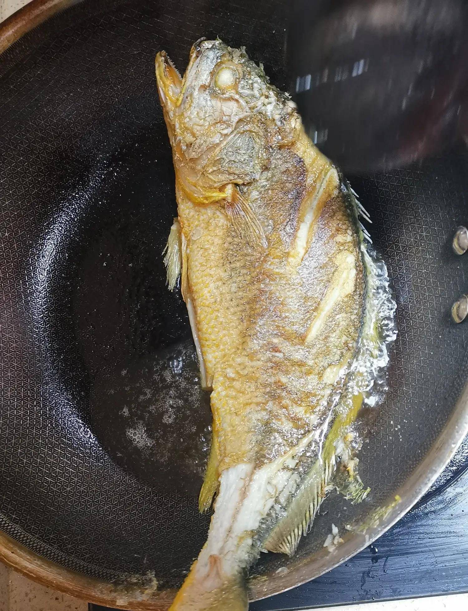 自从搬了新家,和这位美女做邻居之后,我们家的饭桌上就常年不乏新鲜的