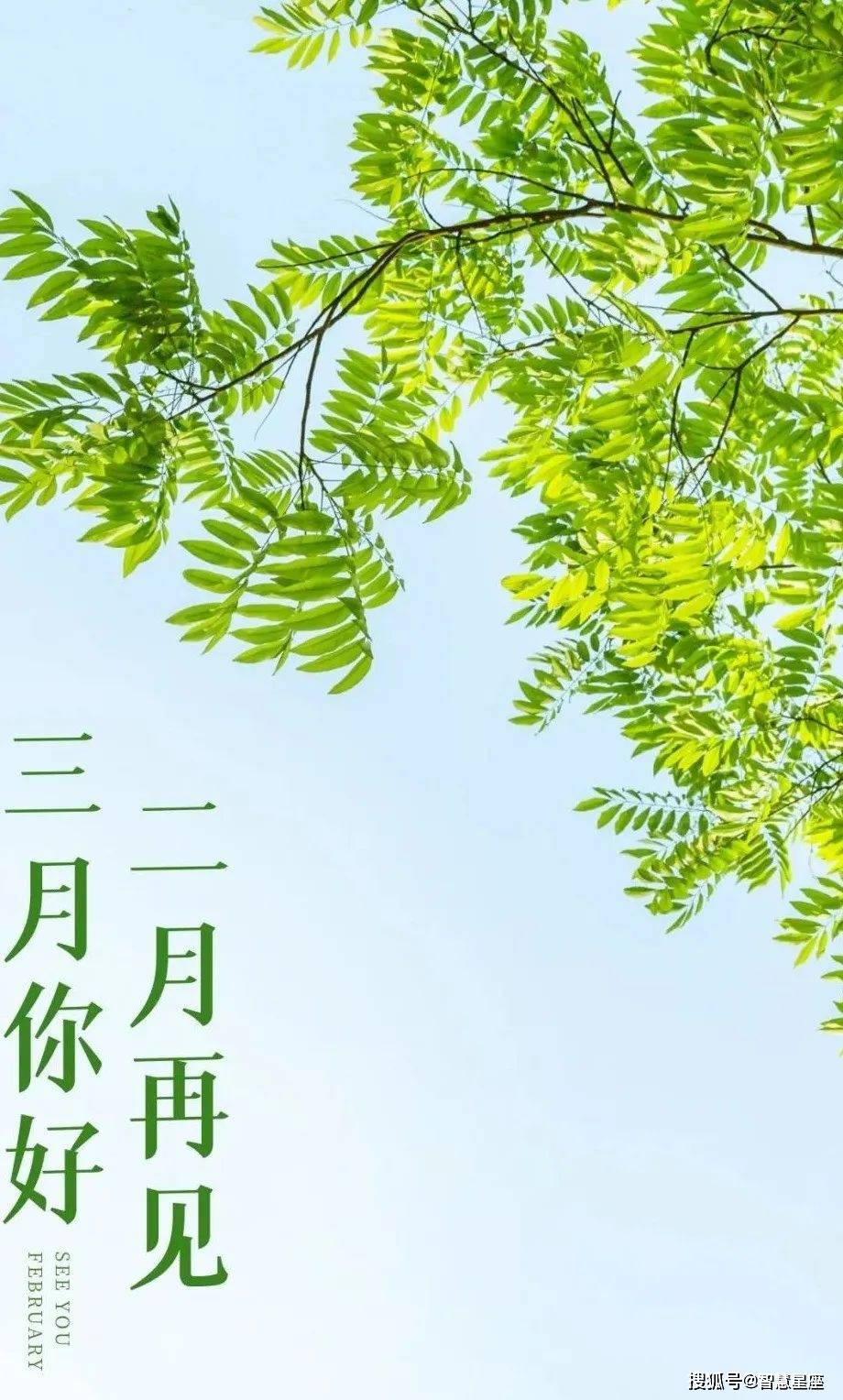 2月再见3月你好图片,发朋友圈二月再见三月你好的句子_生活_时光_春风