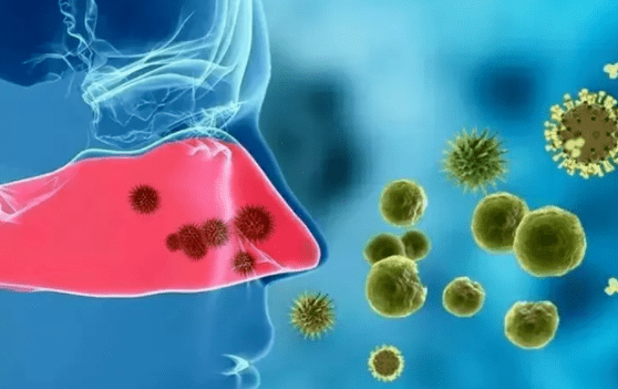 过敏性鼻炎是怎么引起的?高发季预防干货请收好!_过敏原_鼻腔_侵权