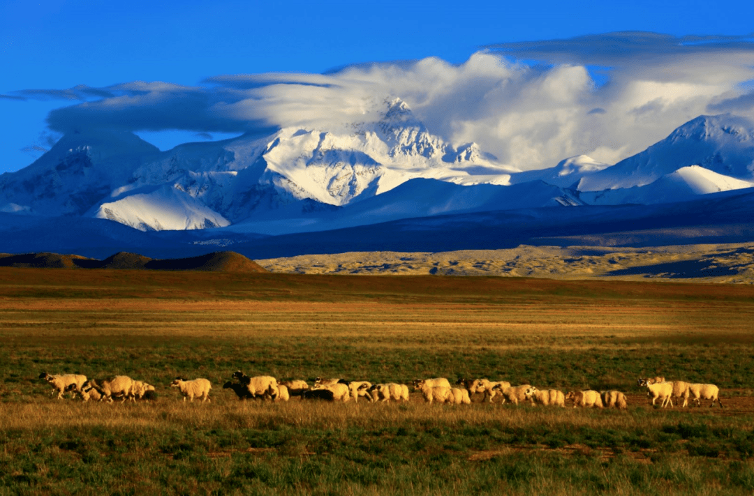 摄65哲古草原贝尔/摄66拉姆拉措王生荣/摄67岗亭瀑布胡王光/摄68勒布