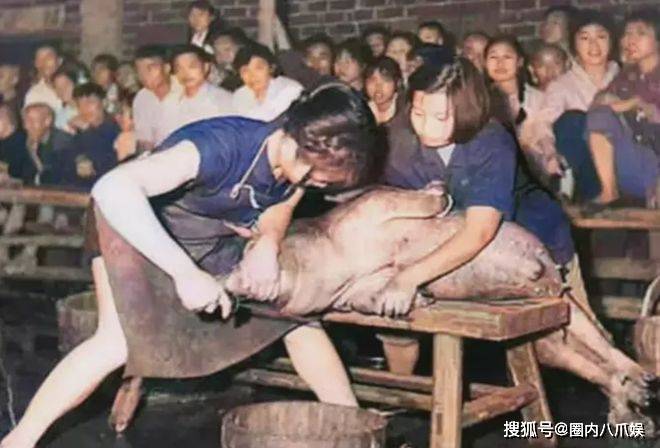 “单位”1950年，两名肉食厂年轻女工正在杀猪，她们动作娴熟、干净利落