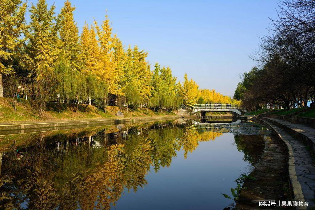 原创（把验孕棒放到可乐里）验孕棒放在可乐里会双杠吗 第5张