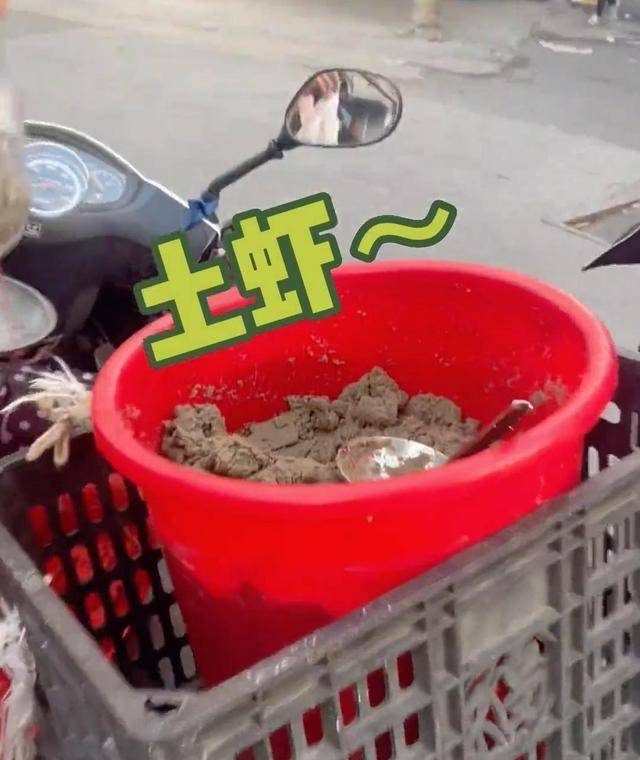 小伙晒长得像"水泥"一样的虾,竟是潮汕美食,有钱还不一定吃到