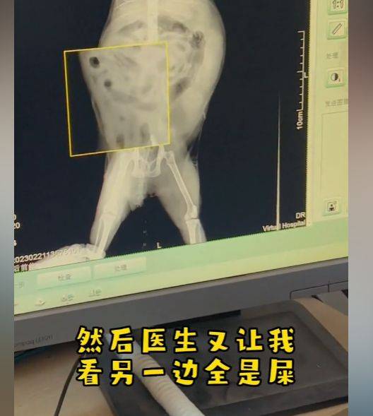 干货分享（假孕肚装怀孕）假扮怀孕大肚子生孩子 第6张