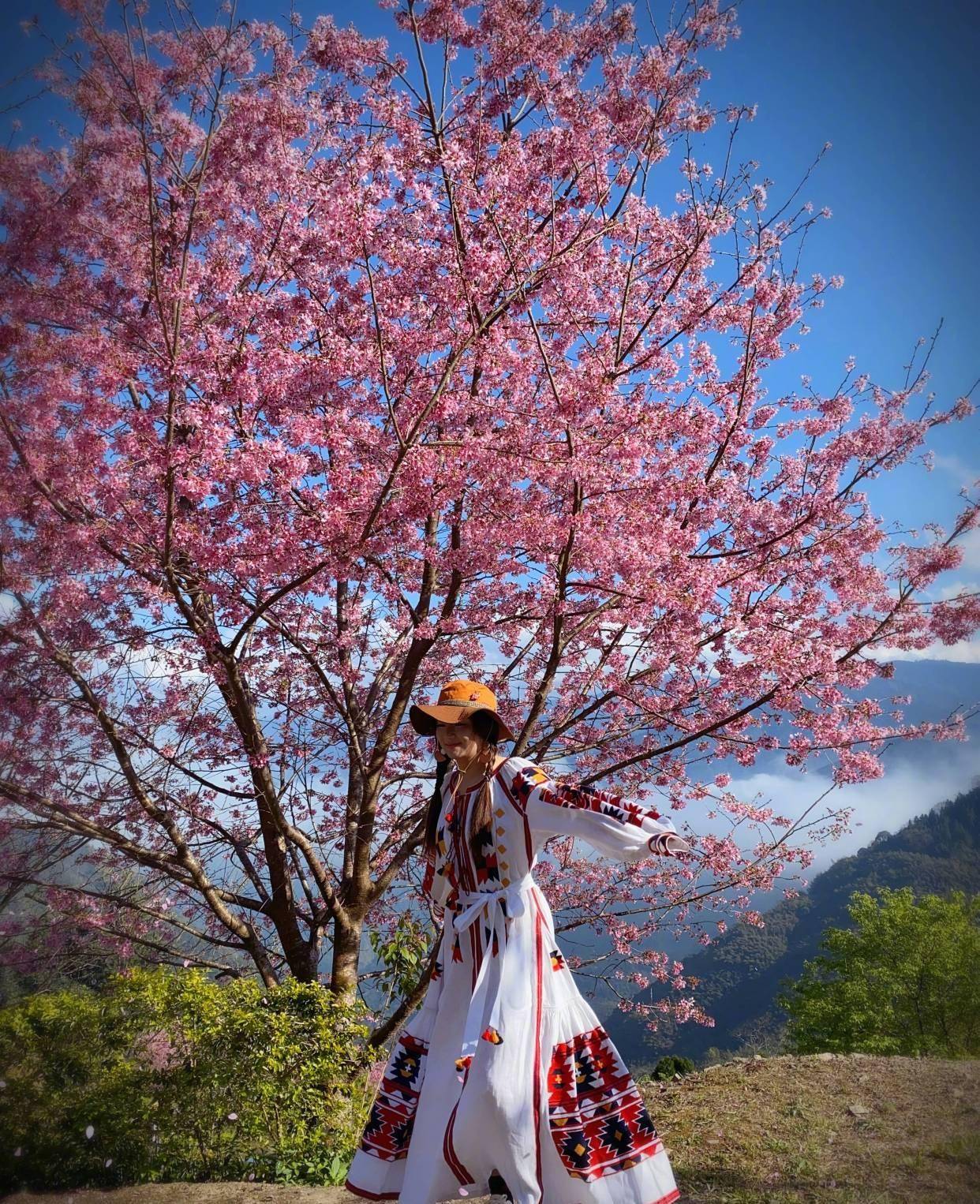 selina樱花下起舞穿民族风长裙扎两小辫人比花娇太少女