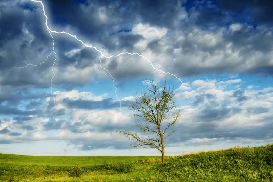 "惊蛰6不做,日子很难富",很多人不懂,难怪生活拮据不如意_节气_小人