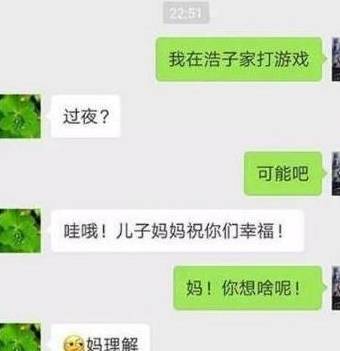 不要告诉别人（恶搞怀孕了聊天记录）私聊怀孕的表情包 第6张