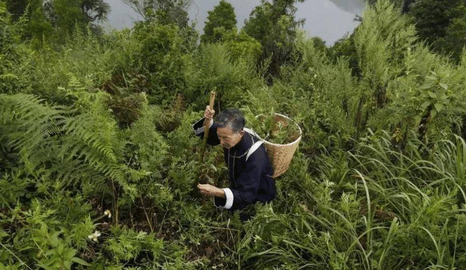 然而紧接着发生的事情则让程地明感觉到非常的诡异