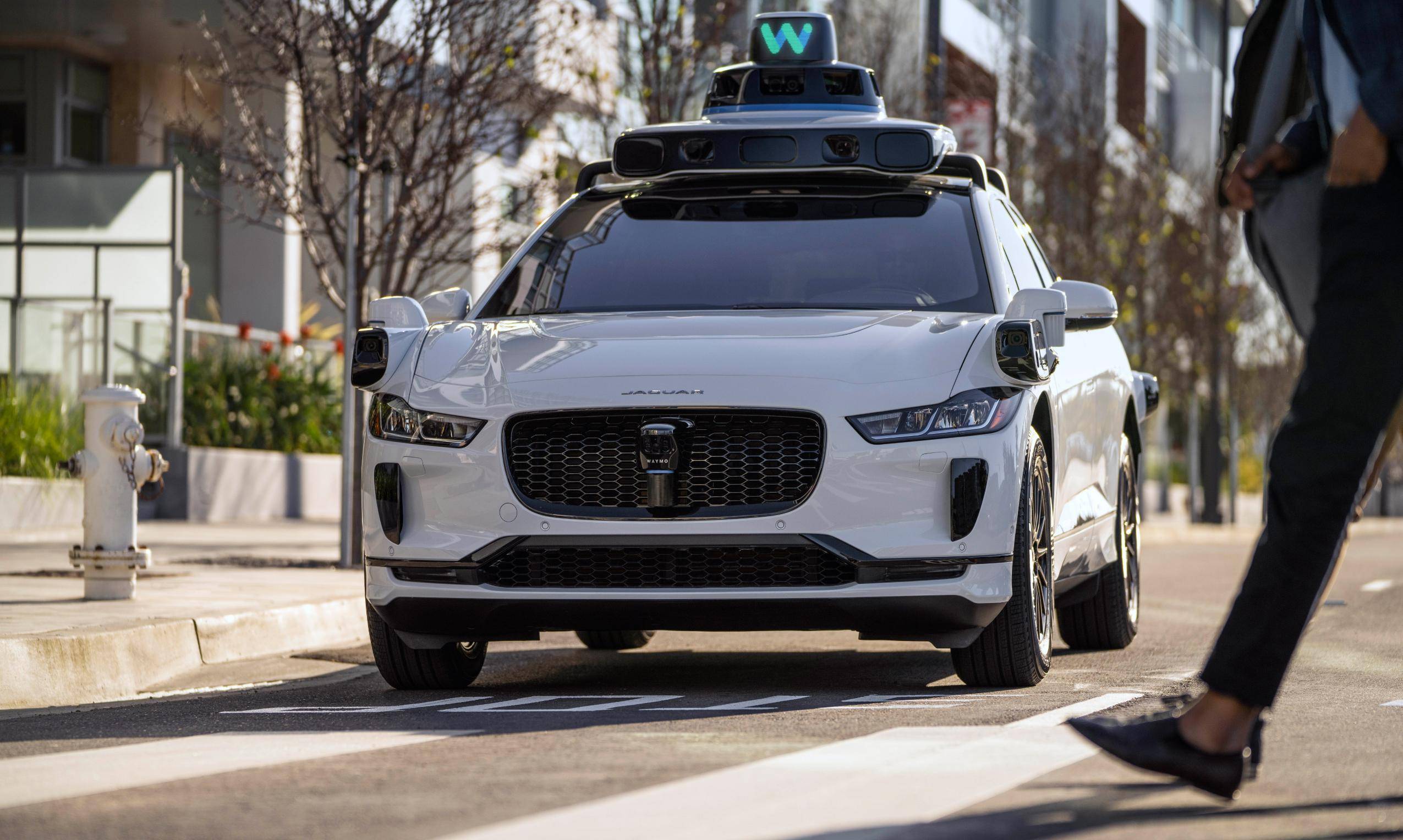 Waymo裁员超200人：自动驾驶工程师也不吃香背靠大树难乘凉_搜狐网