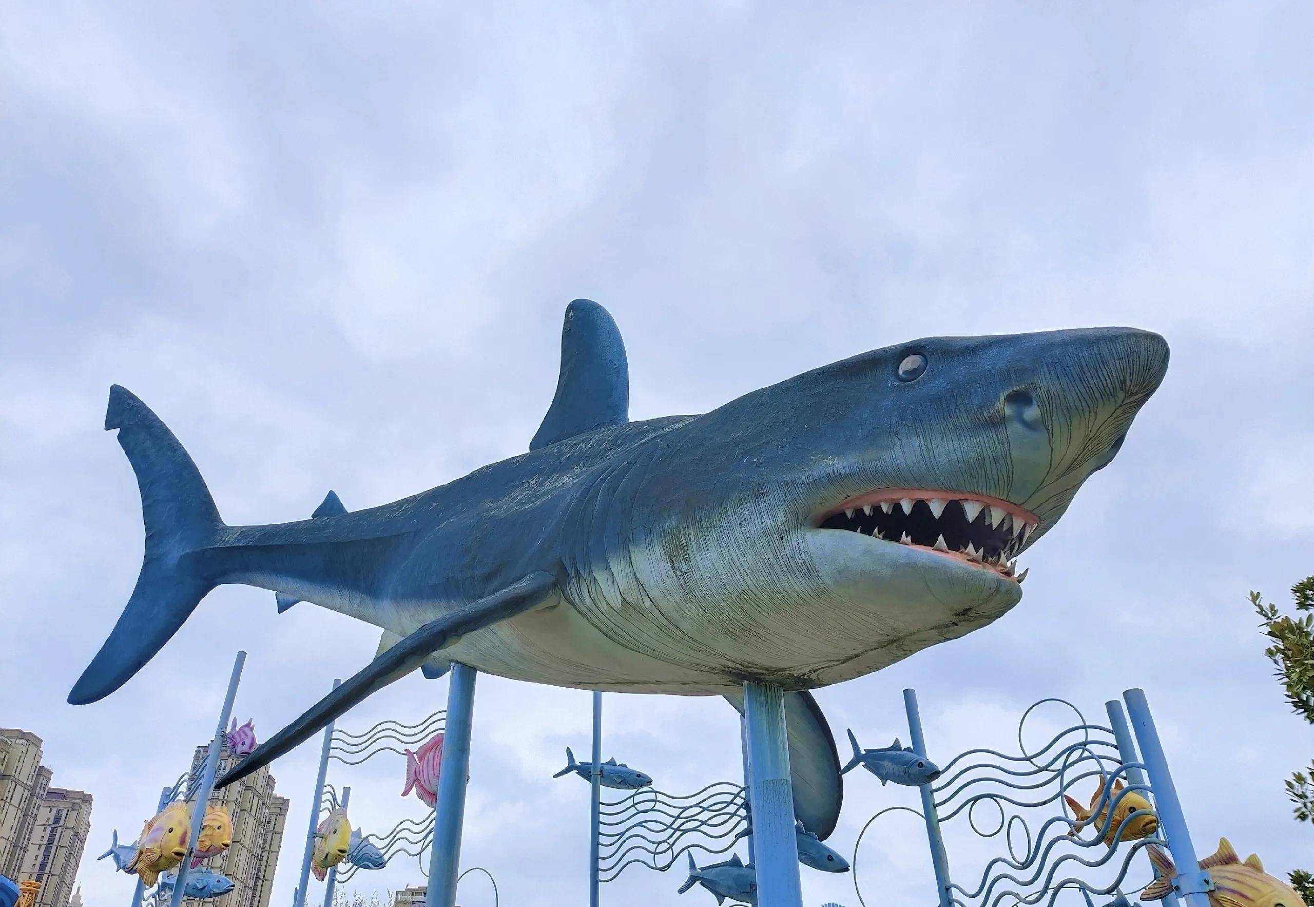 國內人氣最旺的十大海洋公園,親子出遊的最佳之所,你去過幾個_生物