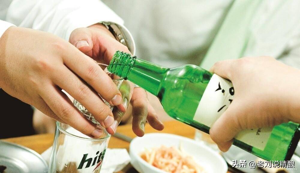 韩国人怎么喝酒?起底韩国酒桌潜规则_工作_礼仪_聚餐