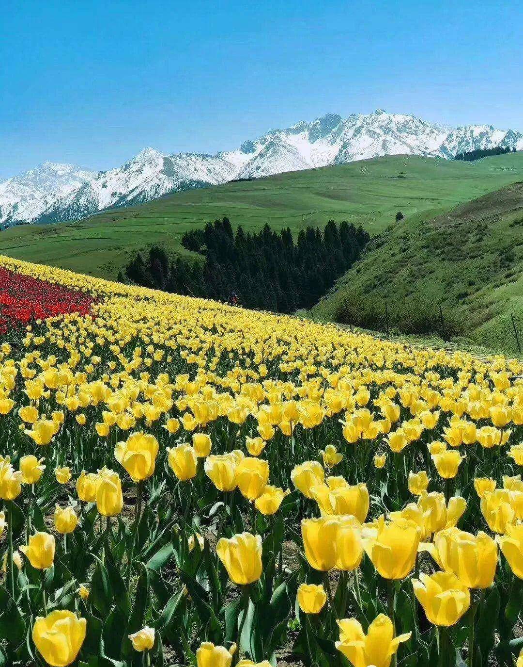 独特的地理位置赋予了她绮丽多姿的自然风光.