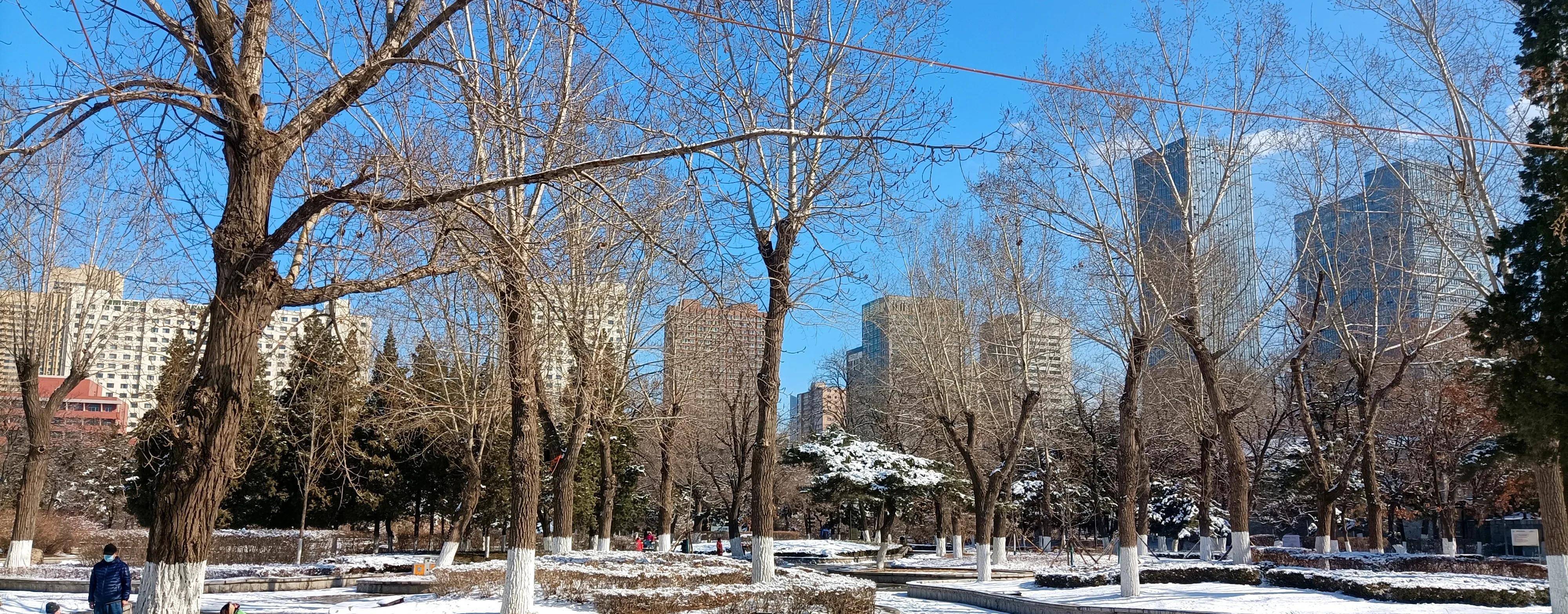 雪后的公园真美啊图片