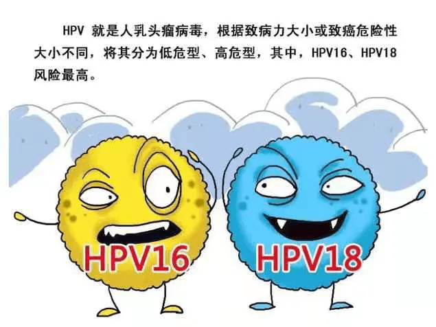 hpv16阳性是什么意思？