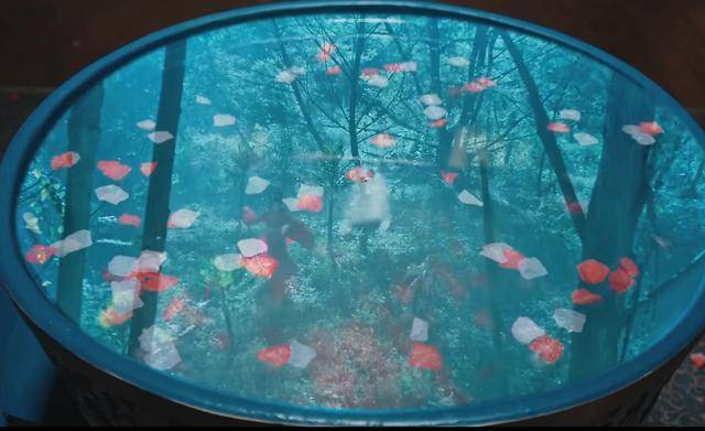 《海大鱼》阿狸追星梦破灭,崇拜他一生的海神真要强娶!