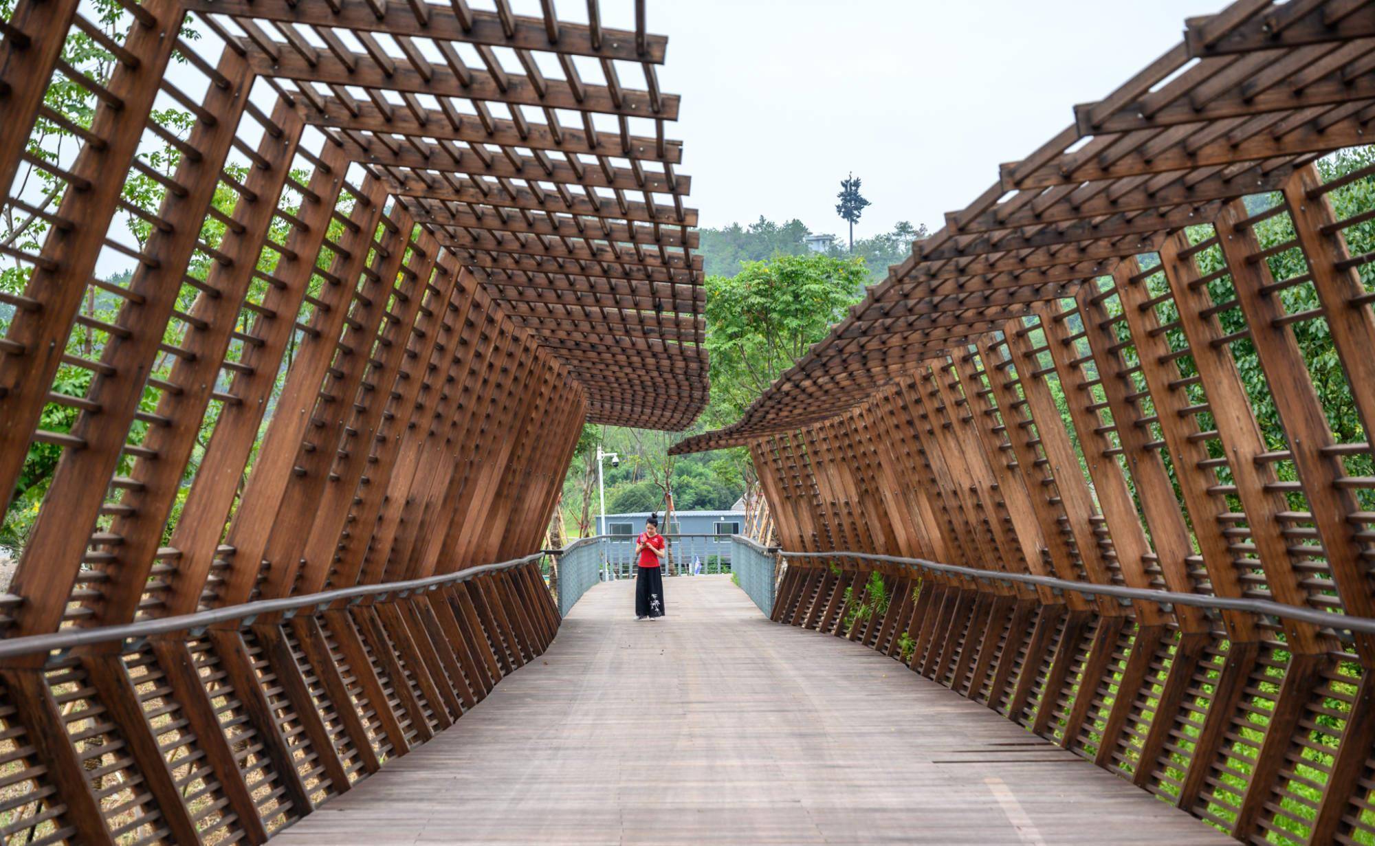 德清又添网红景点,恍若走进了"时空隧道",就在下渚湖湿地公园_竹湖