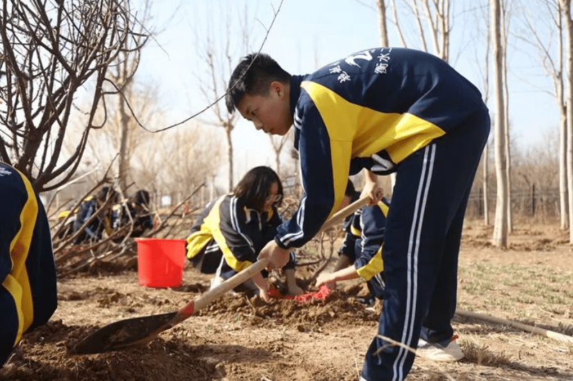 在第45個植樹節到來之際,河北衡水二中組織學生到寶雲公園開展植樹