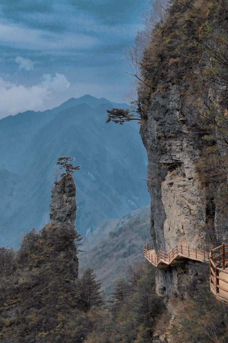 成都周边|达州万源旅游攻略,必去景点推荐_大巴山_云海_中国