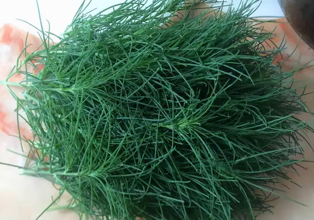 第二,因为风滚草是瓜蒌属植物,瓜蒌是我国常吃的野菜之一.