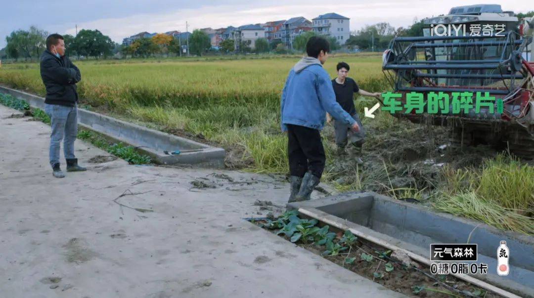 对话《种地吧》总导演杨长岭:敢不敢花半年时间,只是去种地?
