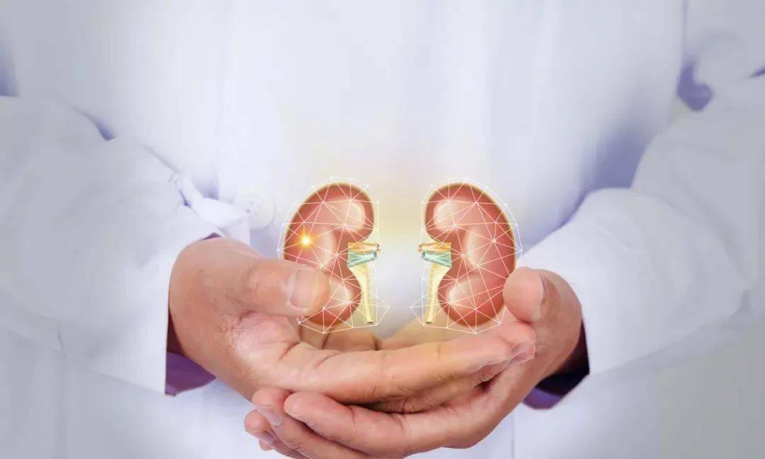 关爱肾脏了解慢性肾脏病,别被"三高"和"三低"偷走了健康_患者_蛋白尿