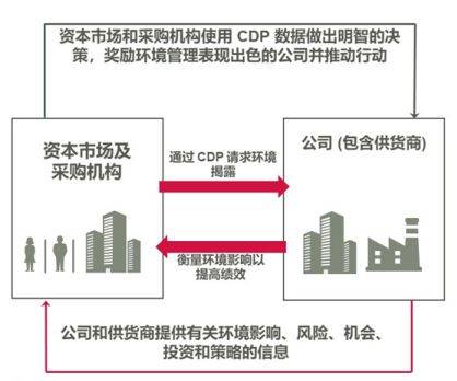 深度揭秘（历史失信信息什么意思） 第2张