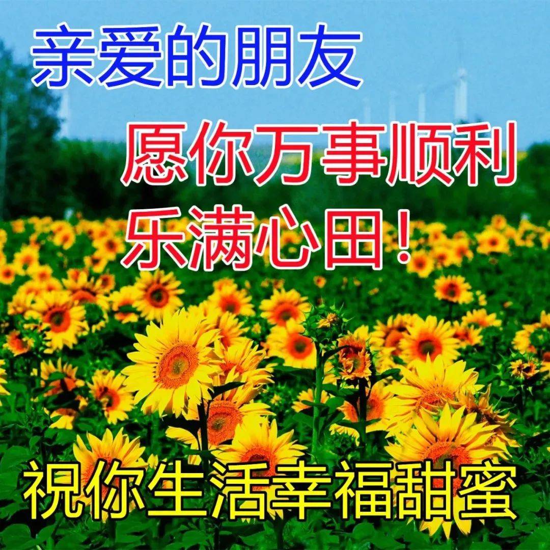 满满干货（给老师的祝福语8个字）给老师的祝福语8个字教师节快乐 第7张